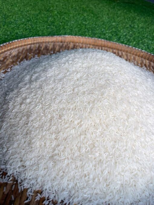 buy jasmine rice in bulk